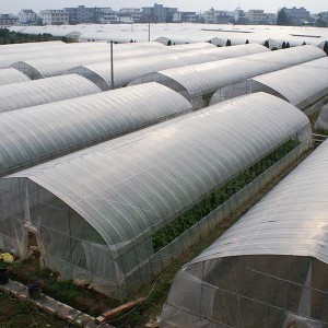 plastic greenhouse