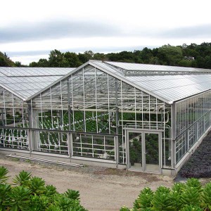 glasses greenhouse