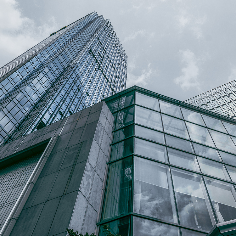 The Role of Glass in Curtain Wall Systems